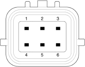 G14175753