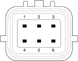 G14175756