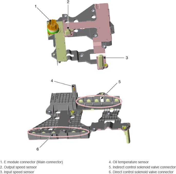 G14179839