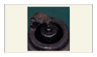 G14937308