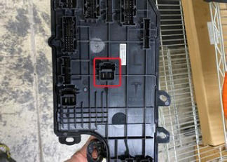 G15437454