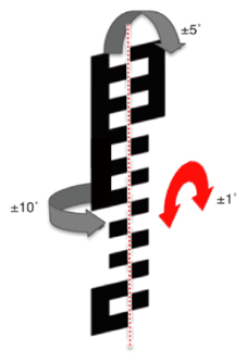 G15555247