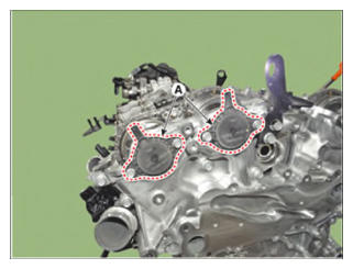 G15555548