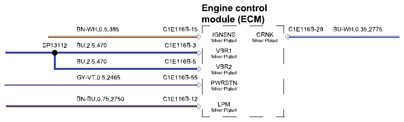 G15558601