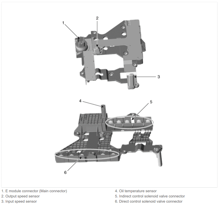 G15587409