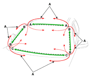 G15589470