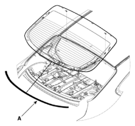 G15589489