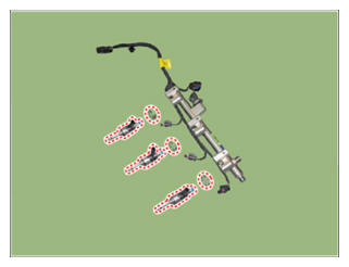 G15591501