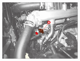 G15693283