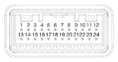 G15693388