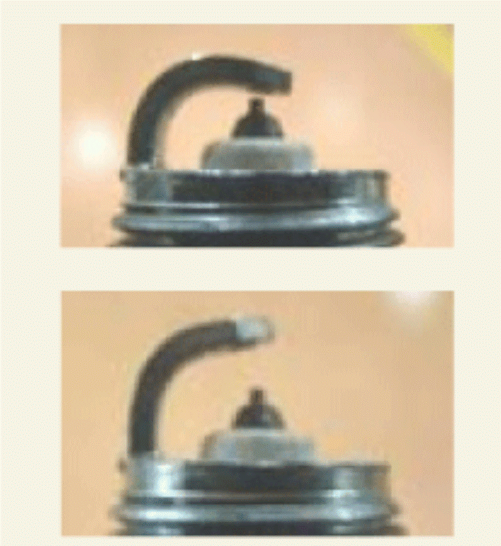 G15694379