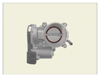 G15787705