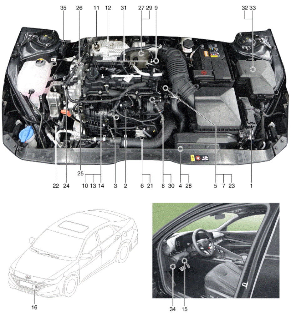 G16176828