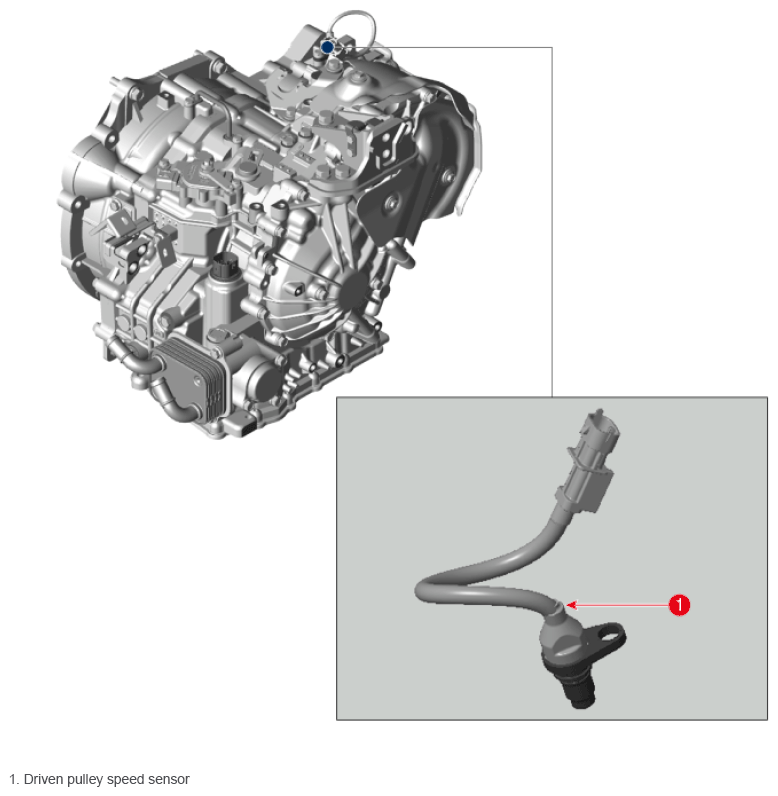G16543389