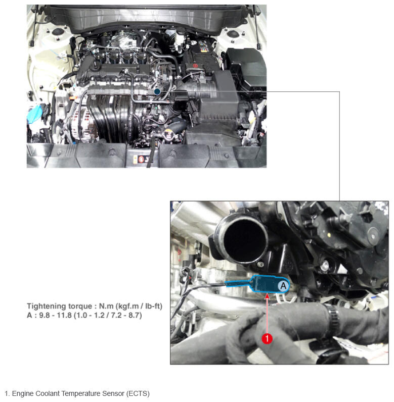 G16544751