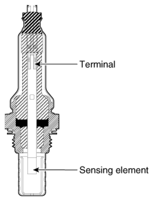 G16772054