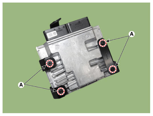 G16829925