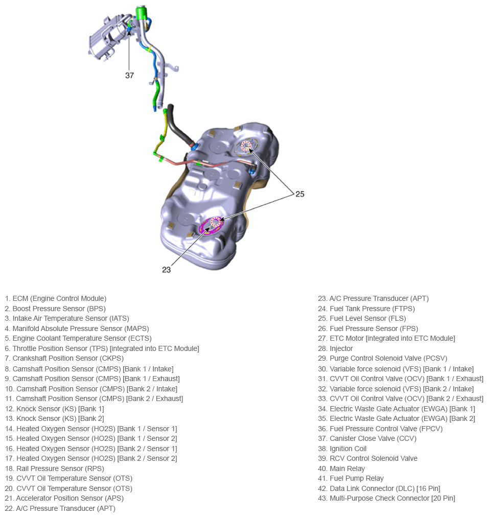 G16833971