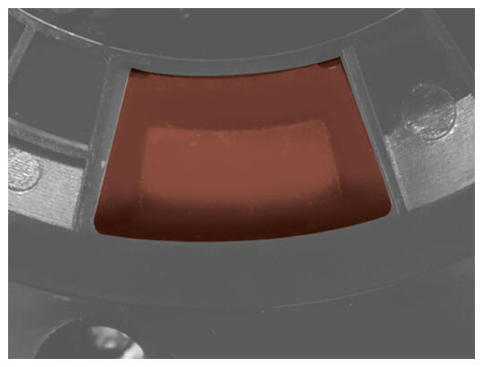 G16895832