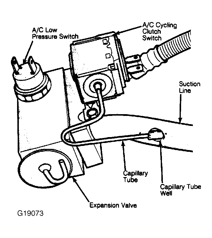 G19073