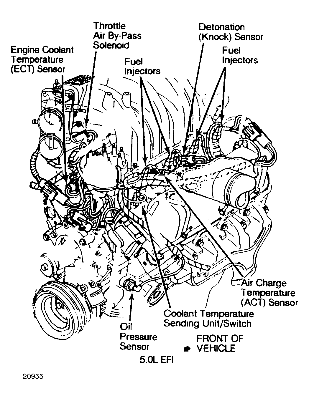 G20955