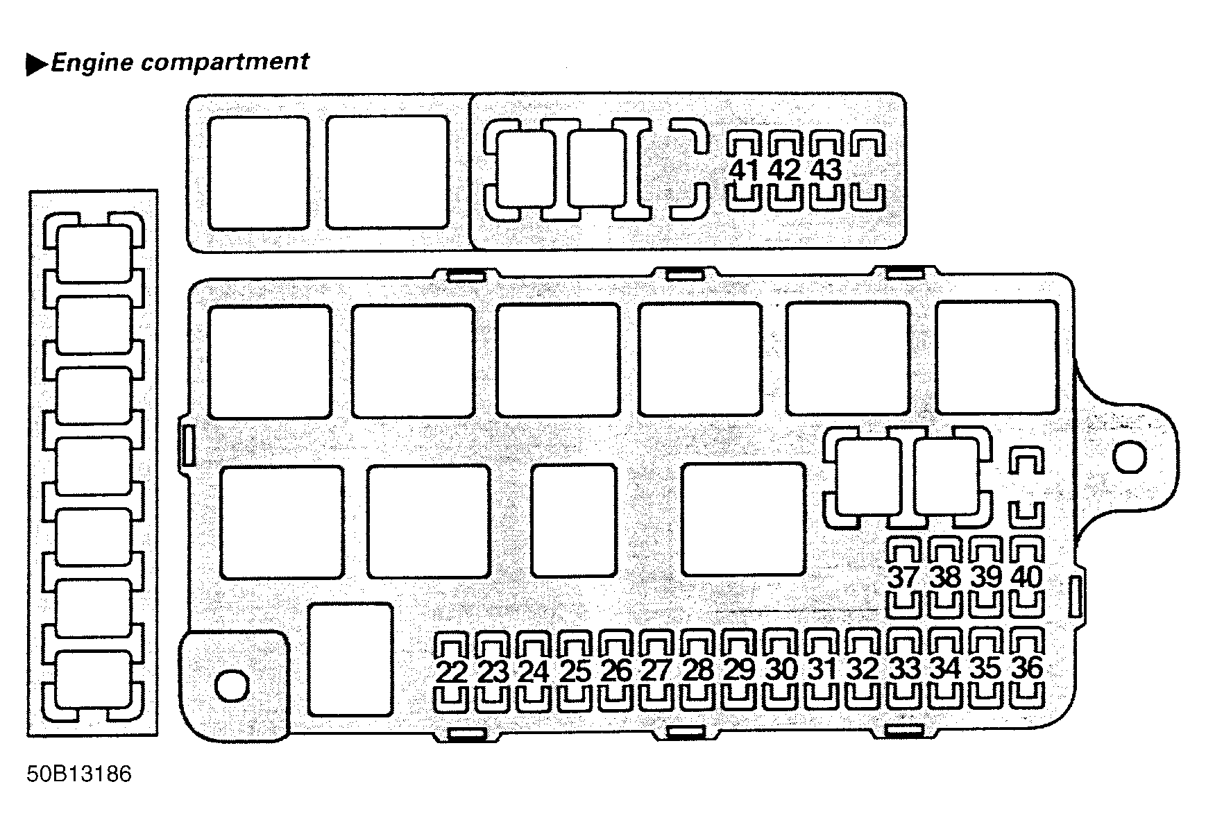 G50B13186