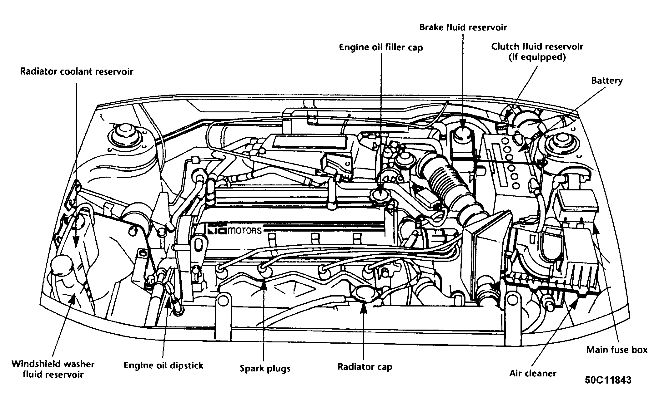 G50C11843