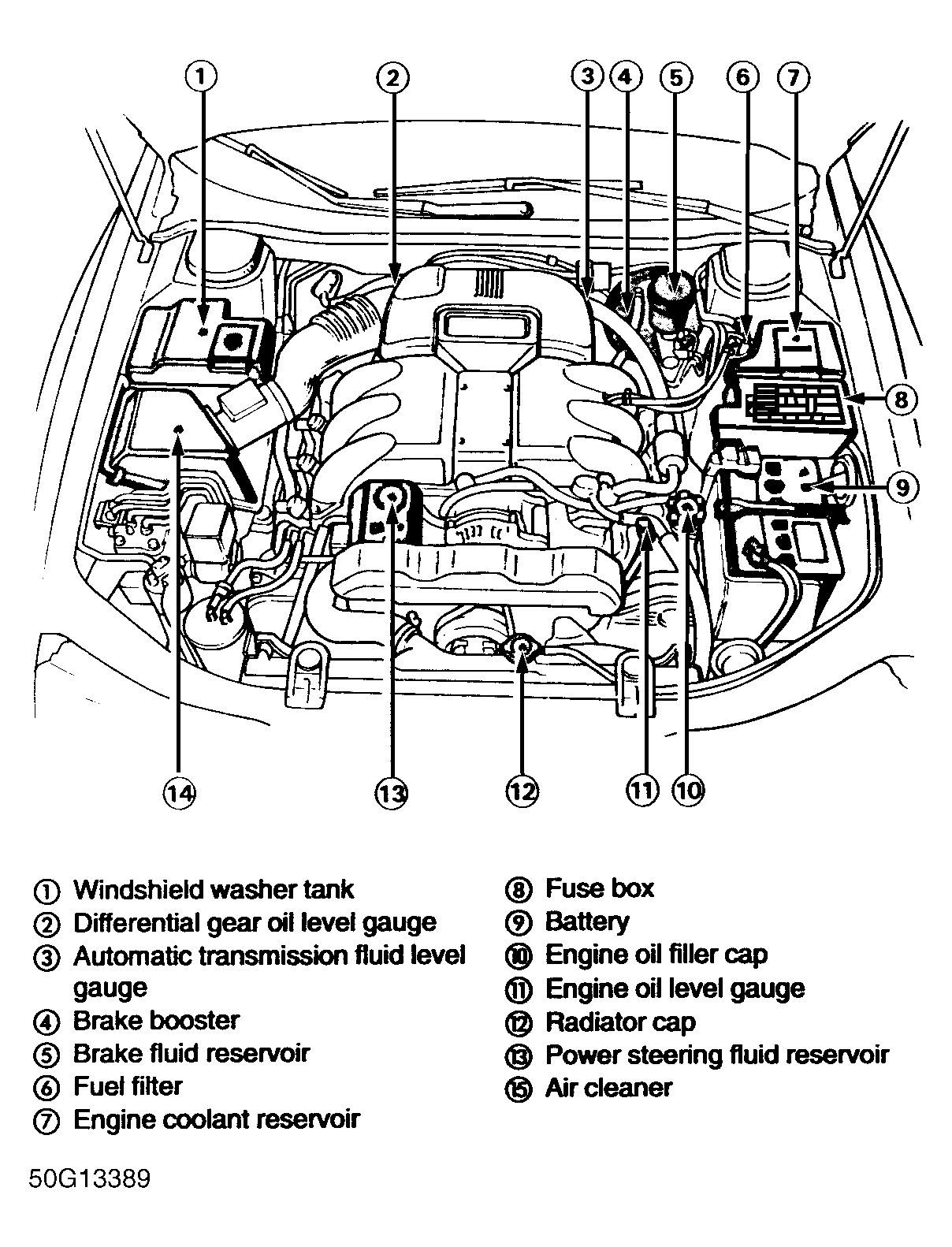 G50G13389