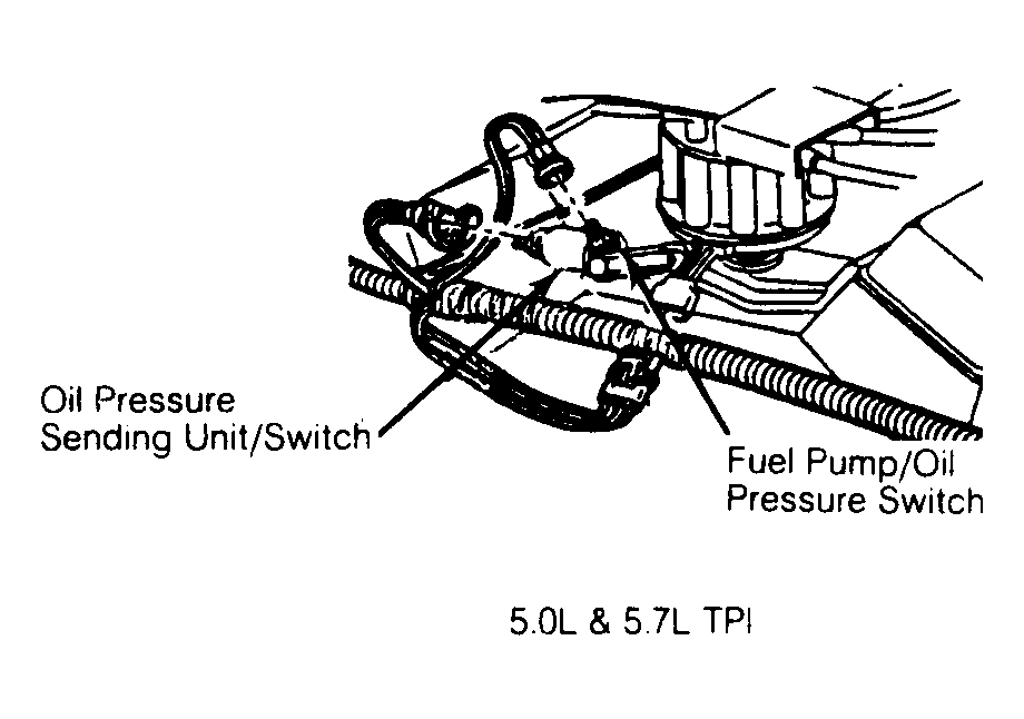 G53591