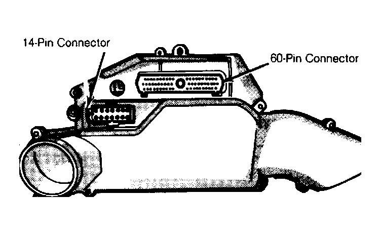 G55891