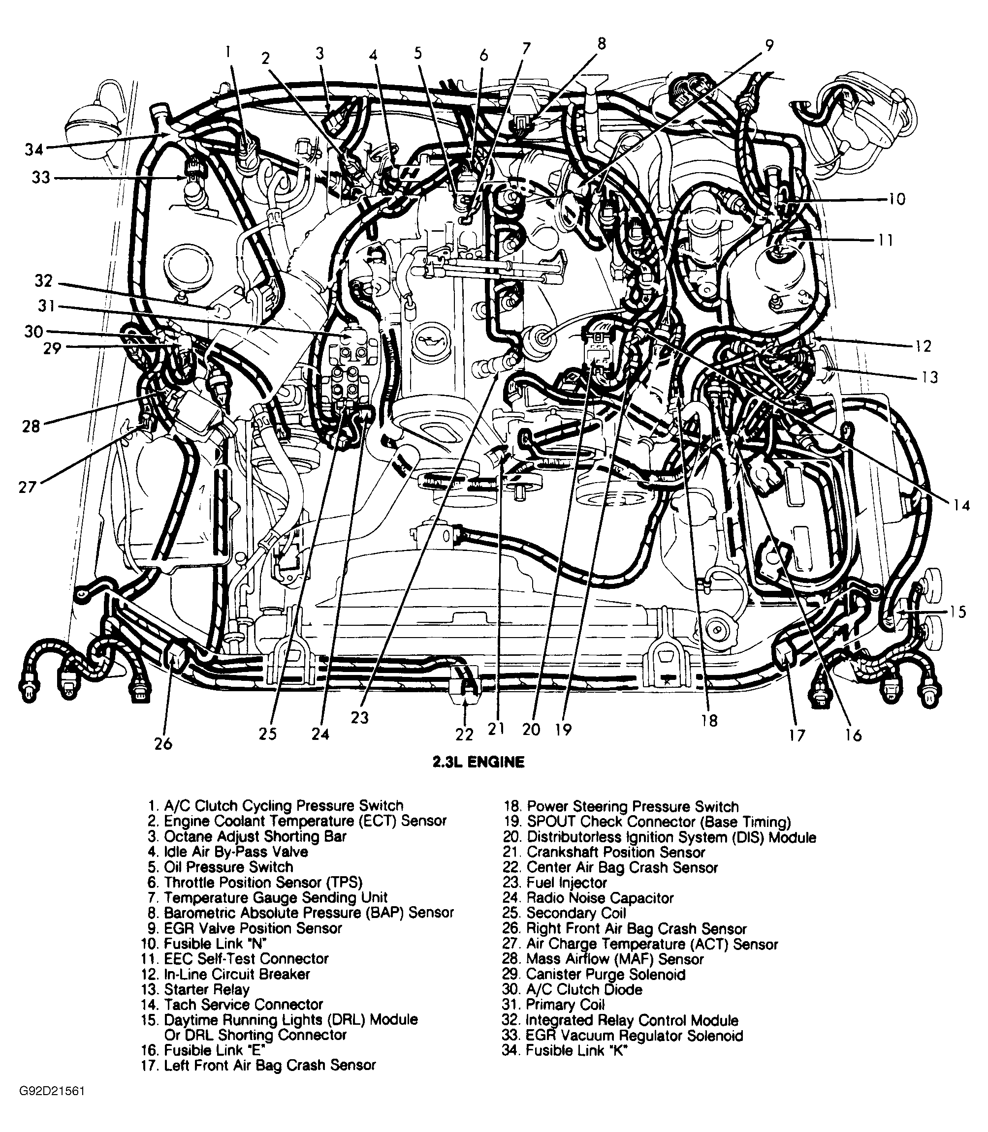 G92D21561
