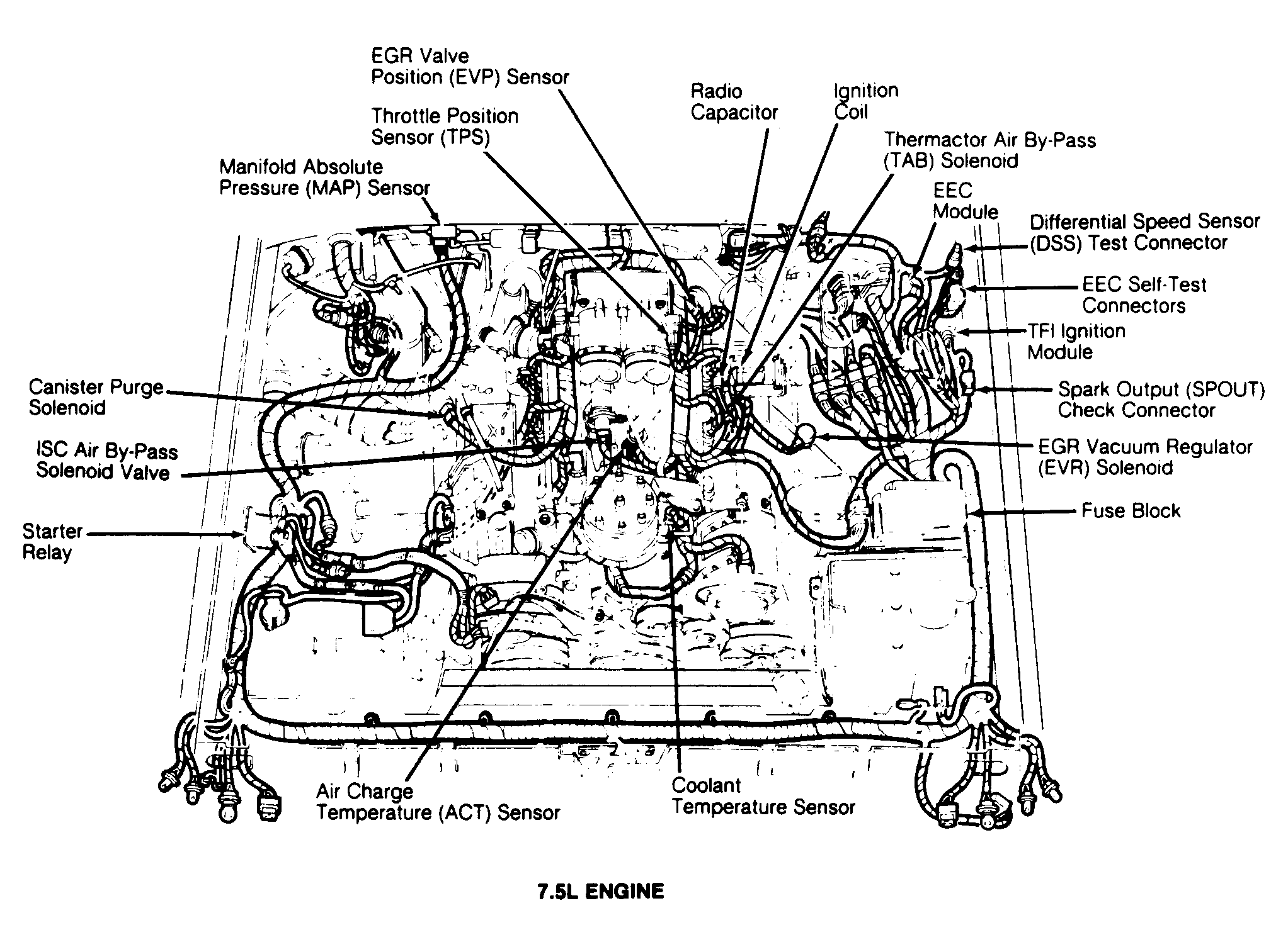 G92D21579