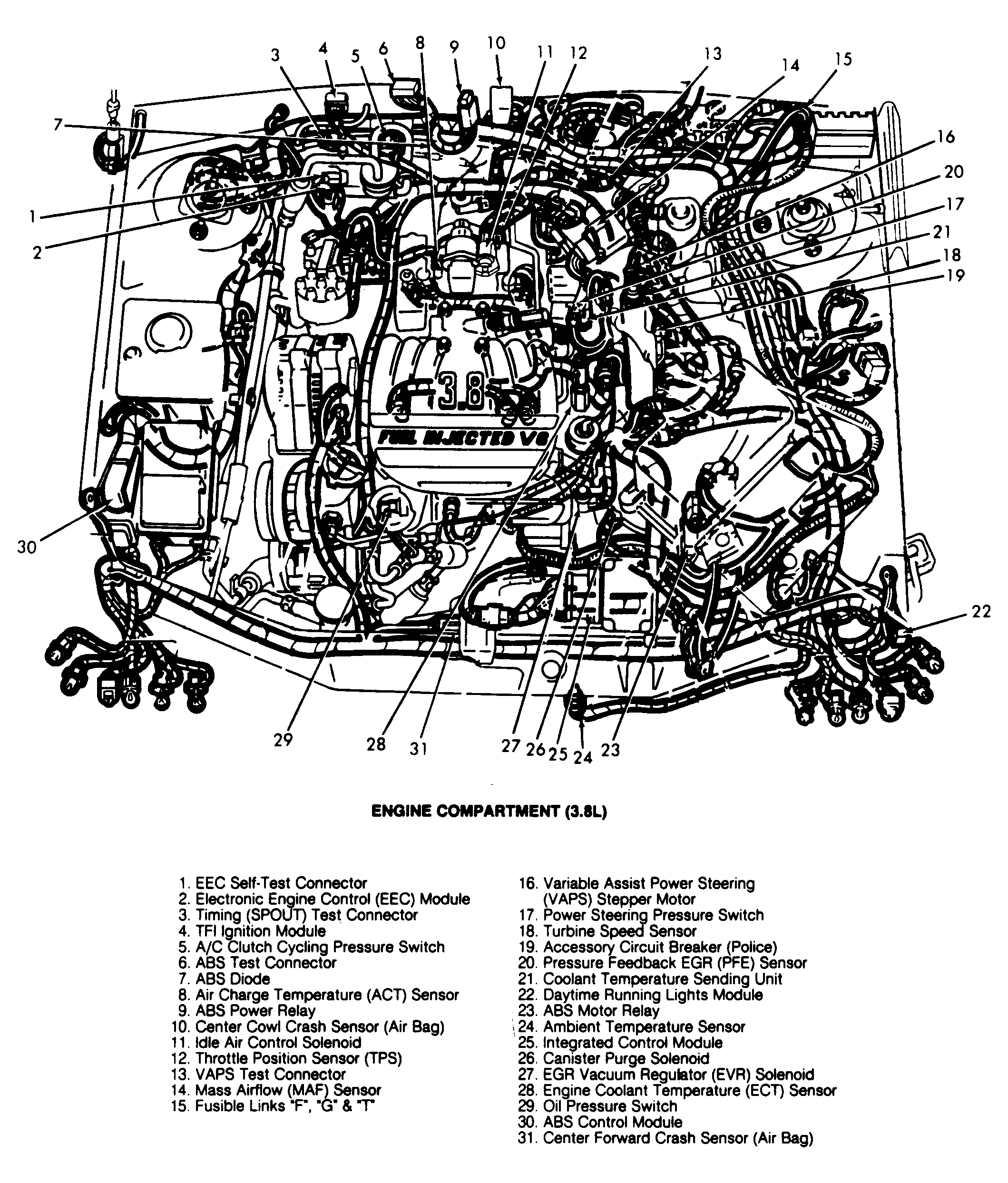 G92D21595