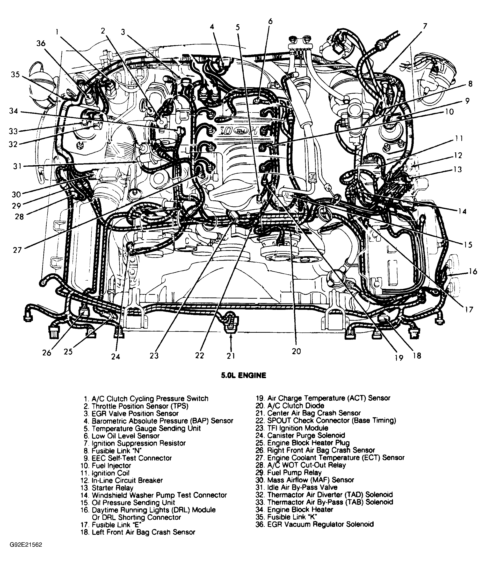 G92E21562