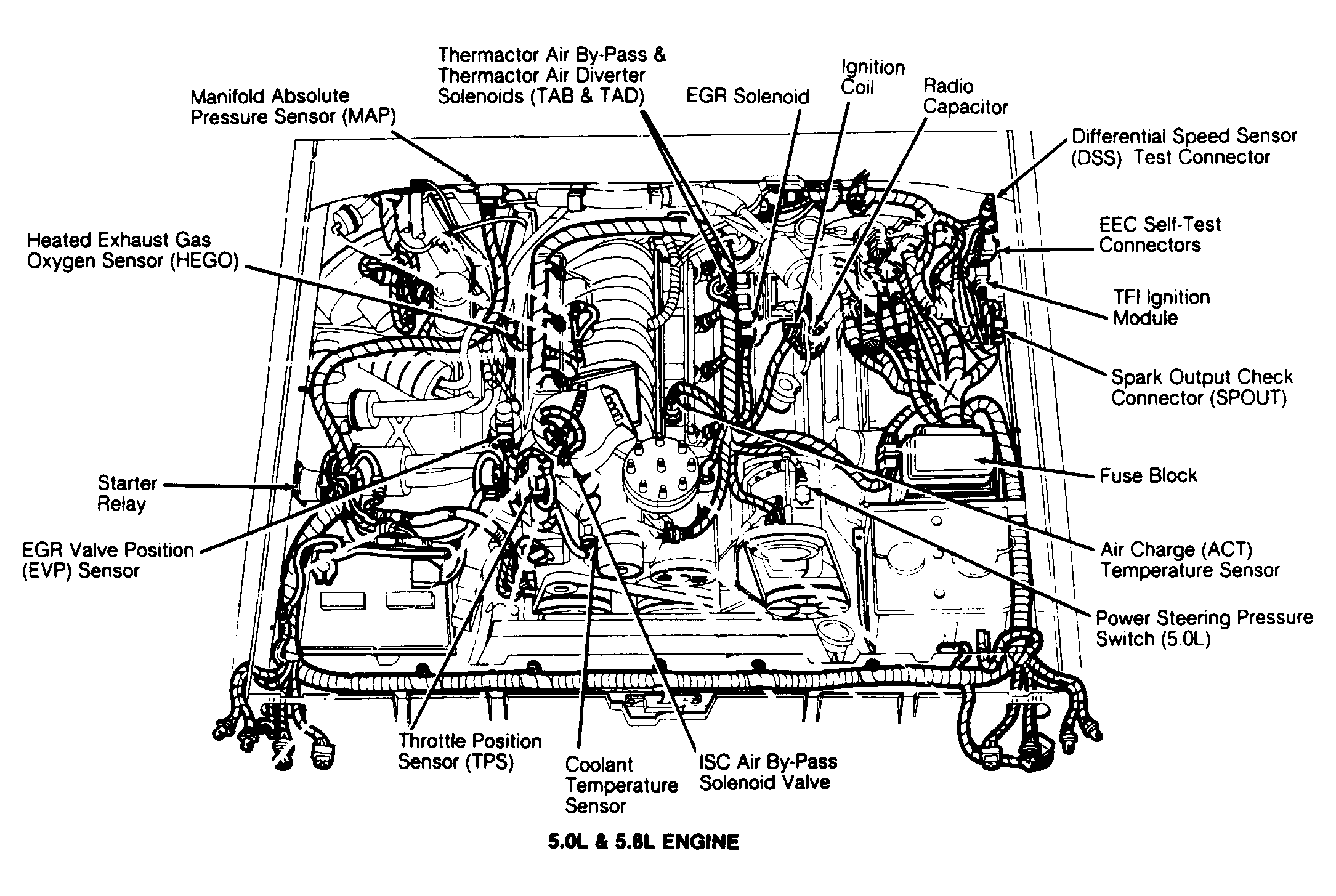 G92J21575