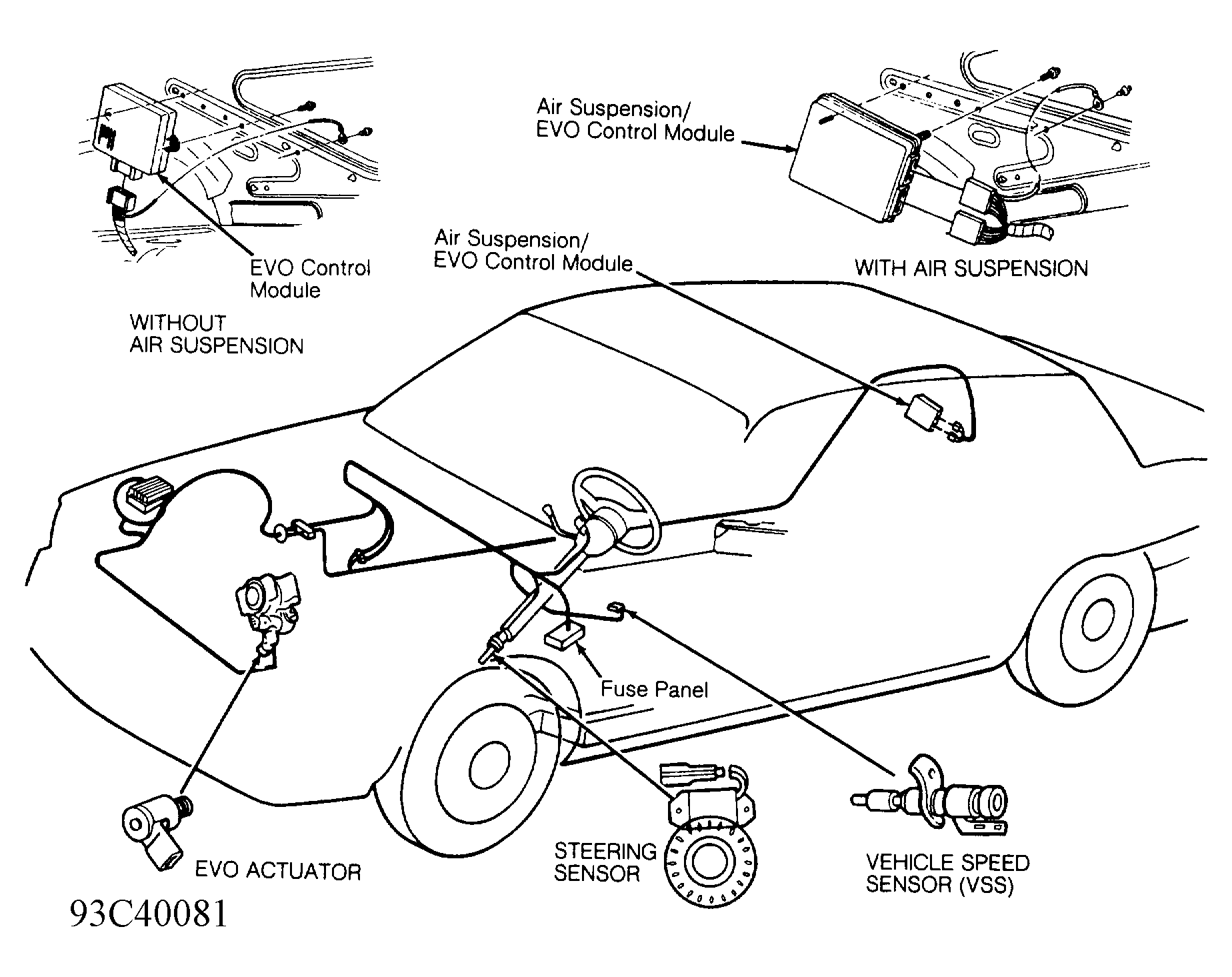 G93C40081