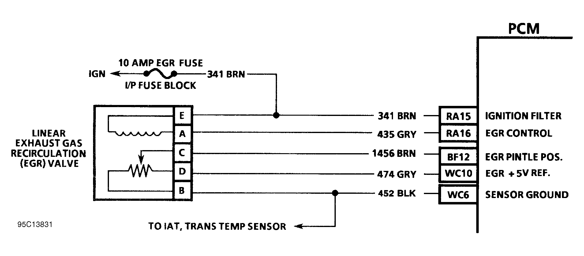 G95C13831