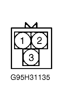 G95H31135