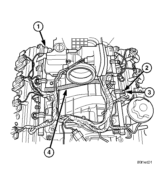 GC0006531