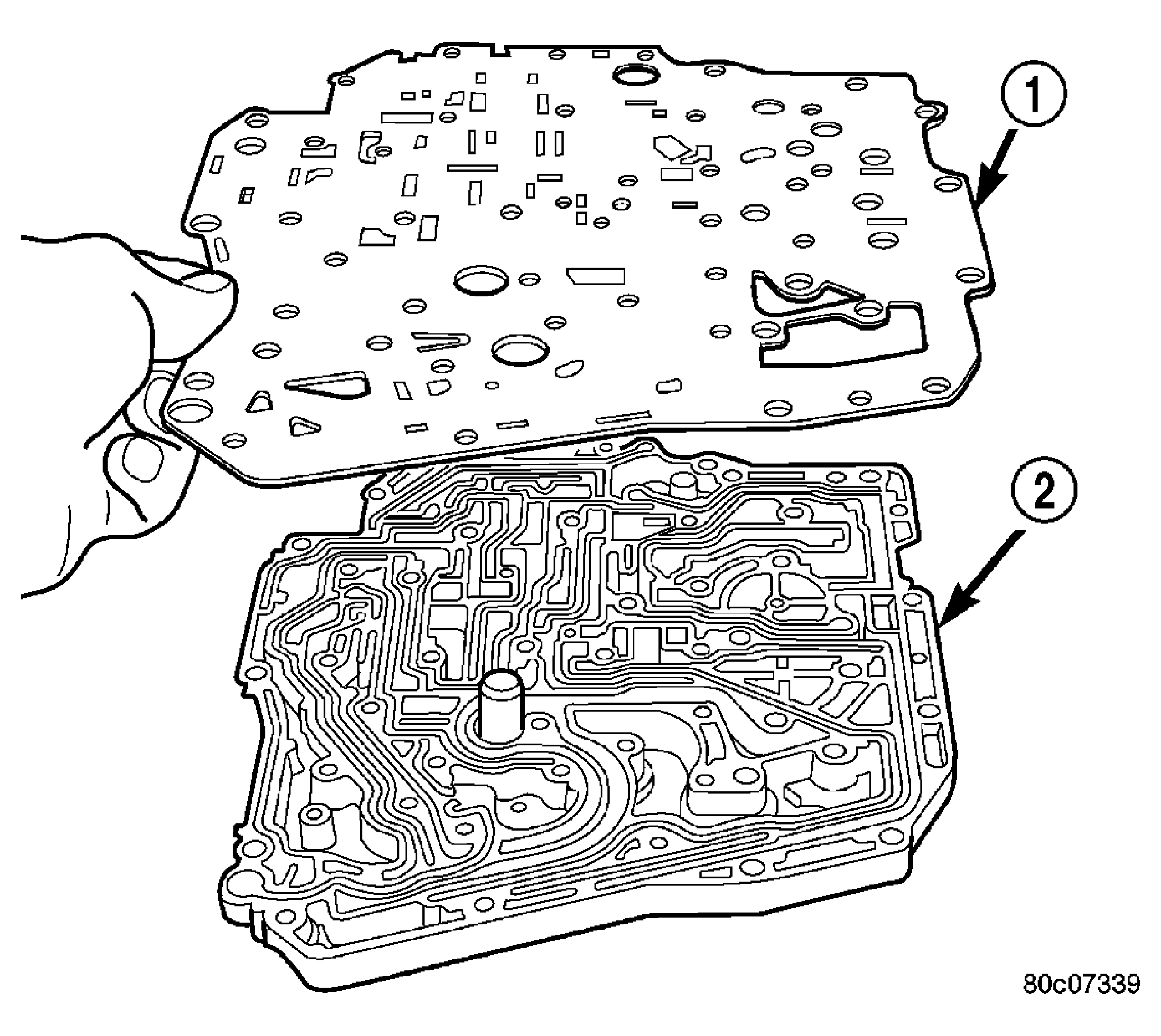 GC0009611