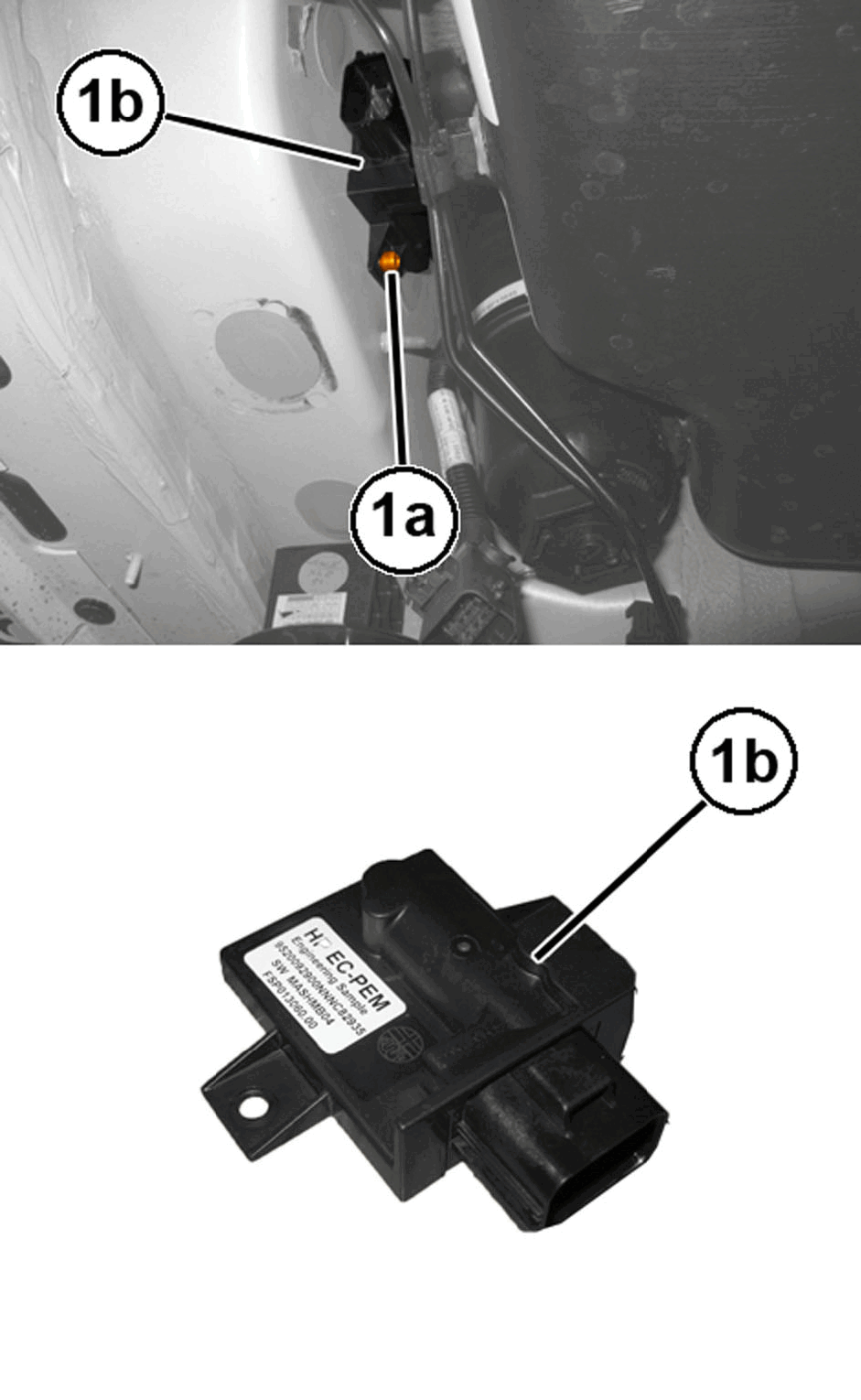 GC0196848