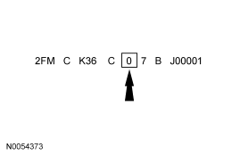 GF0030596