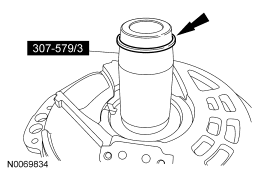 GF0031813