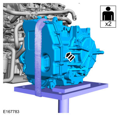 GFD215481