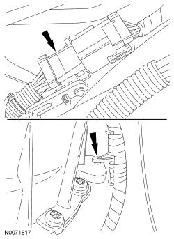 GFD33496