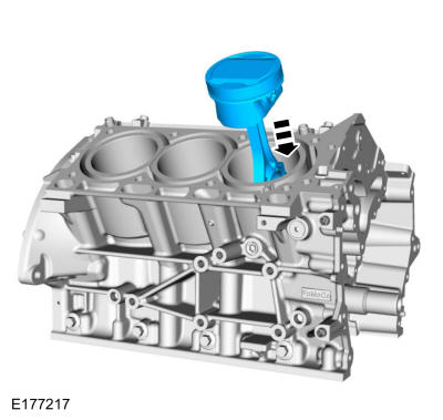 GFD512389