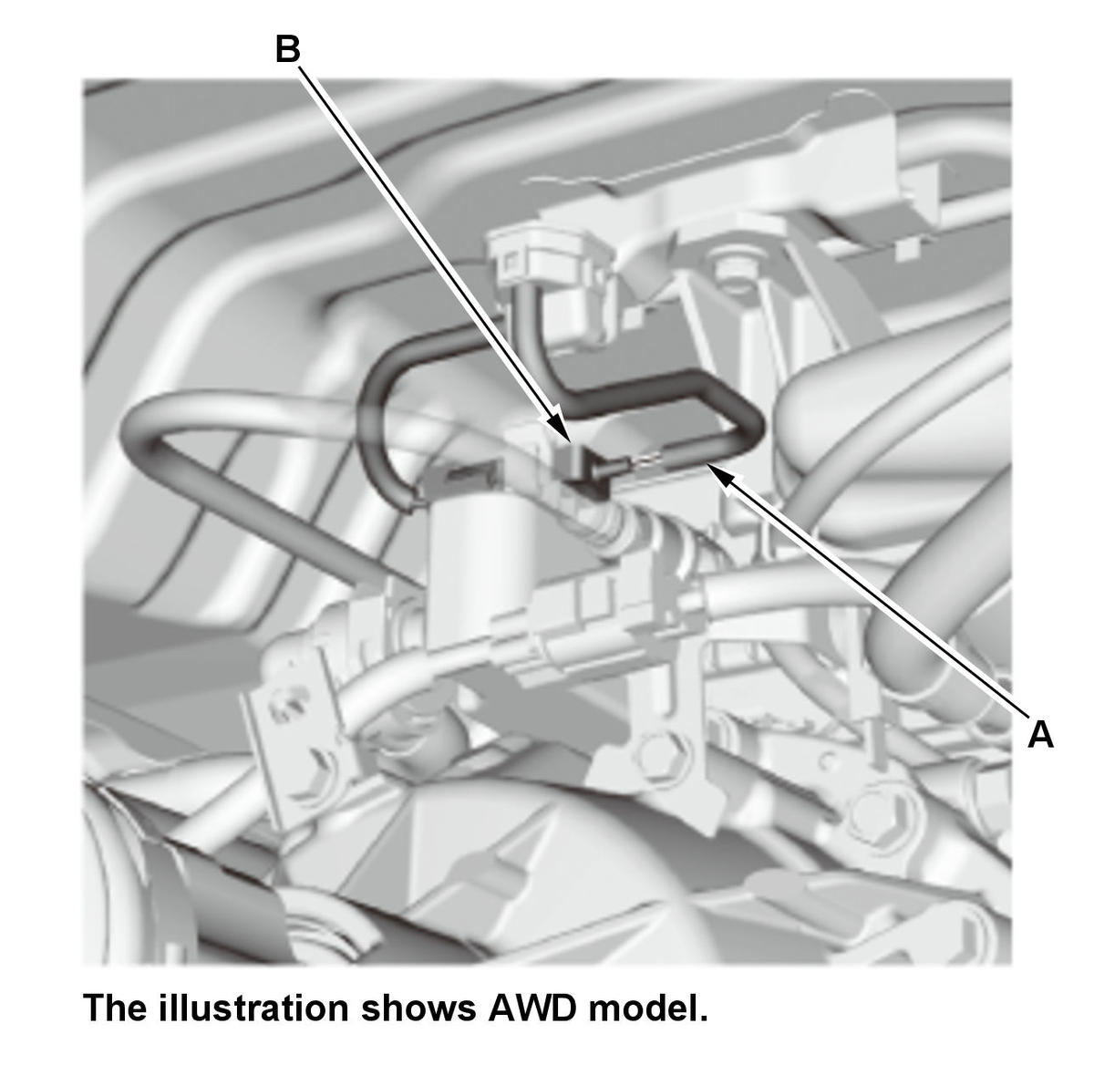 GHH307821