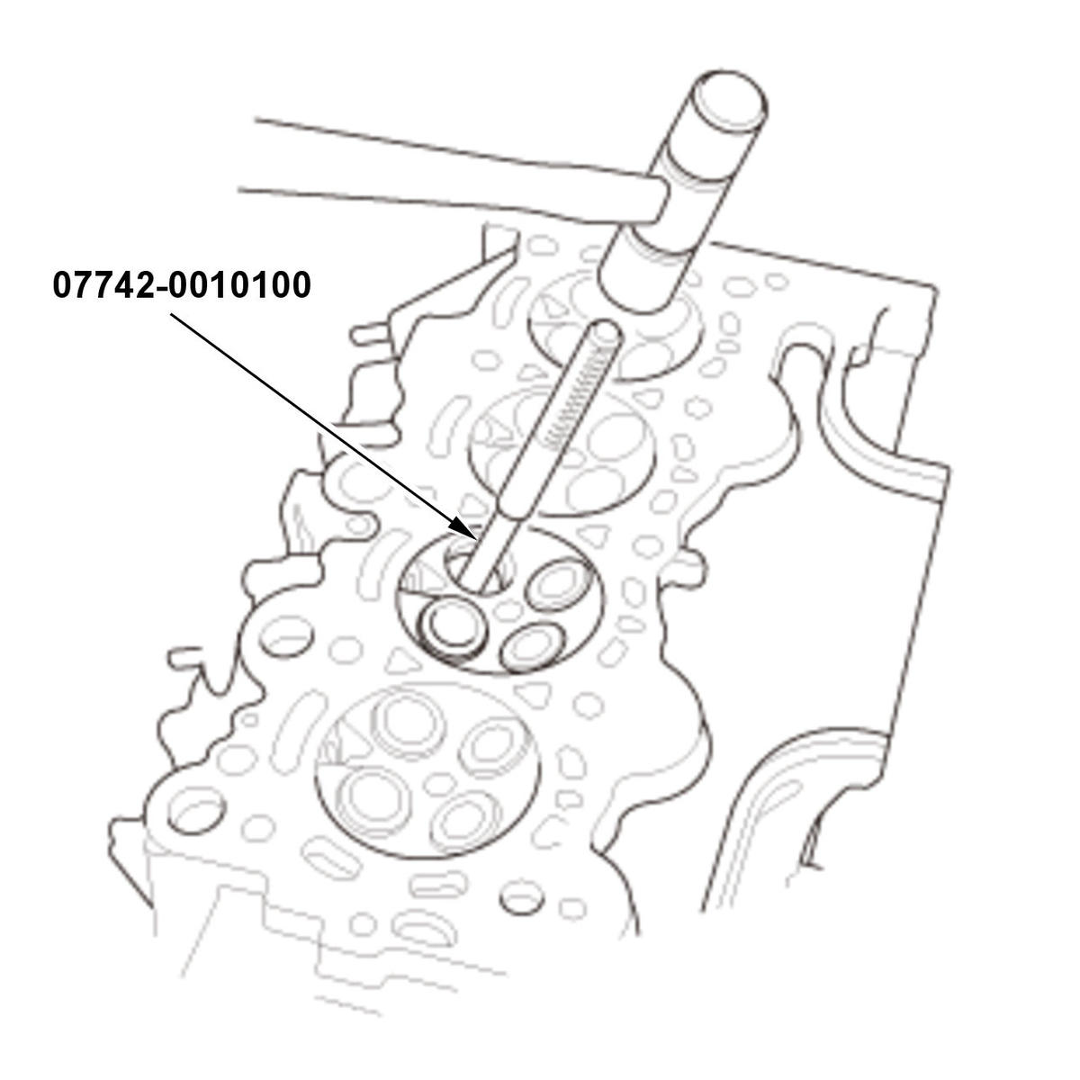 GHH406718