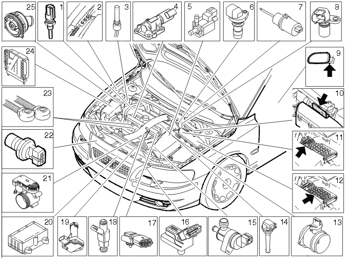 GLL105853