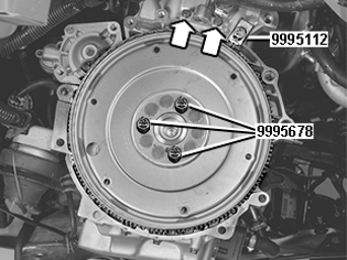 GLL109429